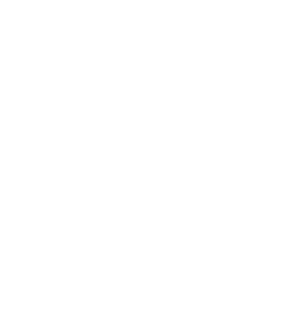 Logo_Schreinerei-Bellut-Gmbh_weiß