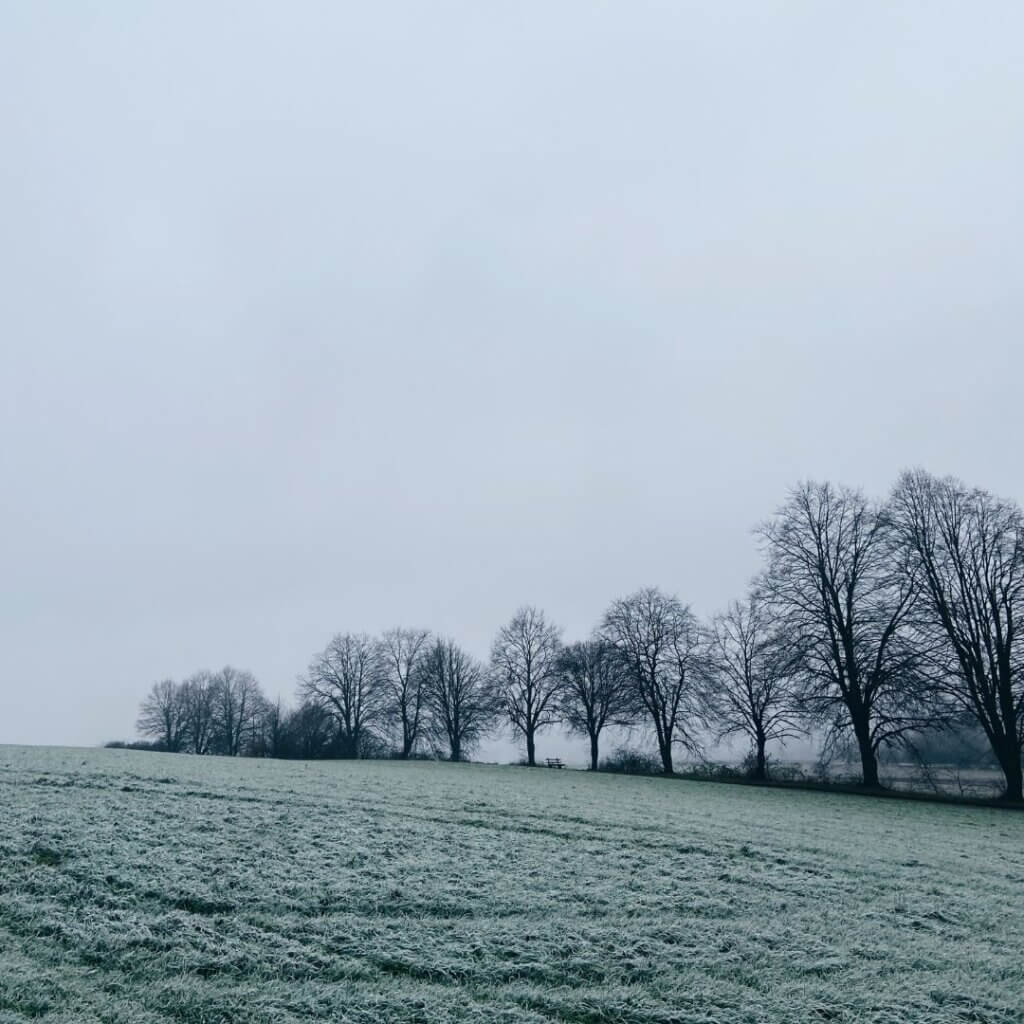 Mitten in der Natur: Landschaft und Bäume